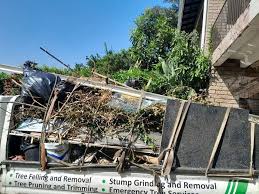 Best Residential Junk Removal  in Pahoa, HI