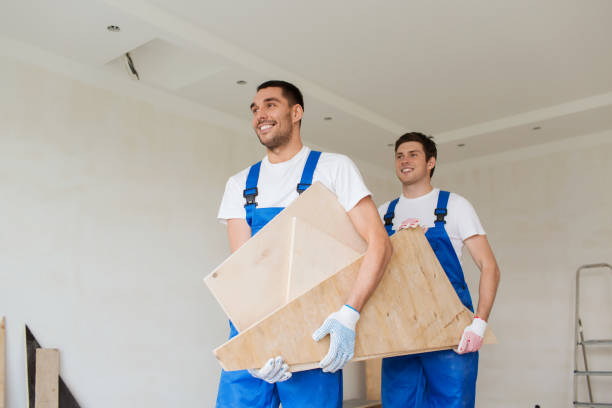Best Shed Removal  in Pahoa, HI