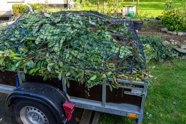 Best Scrap Metal Removal  in Pahoa, HI